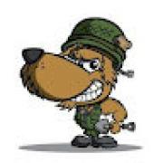 Avatar de DogWarrior