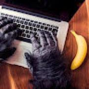 Avatar de GorilleNumrique