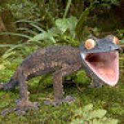 Avatar de EmileMeeater