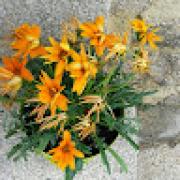 Avatar de ludivinelacaze