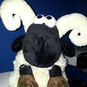 Avatar de willyde