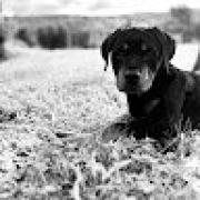 Avatar de MarvinBlot