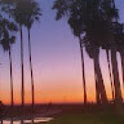 Avatar de AlexandraHALGAND