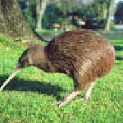 Avatar de VadimJamar