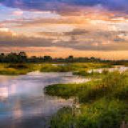 Avatar de VirginieTexier