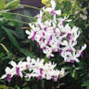 Avatar de MarcGuiose