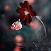 Avatar de NouhailaOulasri