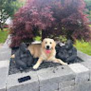 Avatar de fernandmboudier