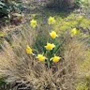 Avatar de jonathanleblanc