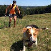 Avatar de EmericLabeylie