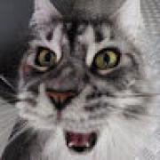 Avatar de AdrienBertin