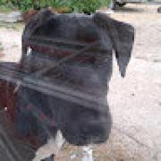 Avatar de ChantalMondon