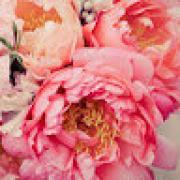 Avatar de PaulaCamila