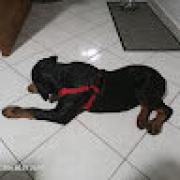 Avatar de YvonMalaure