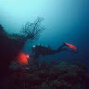 Avatar de ThibautBernard