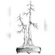 Avatar de gillesDrawingforfun5