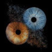 Avatar de BrunoBOUTRY