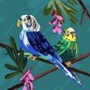 Avatar de JulienDuplouy