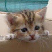 Avatar de GuillaumeF2