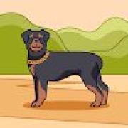 Avatar de KenzoChicot