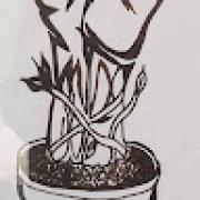 Avatar de ArnaudEdern