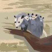 Avatar de MalivanGonzalez