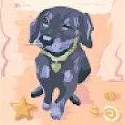 Avatar de FloraSRENG