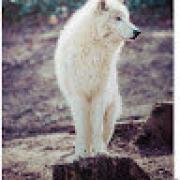 Avatar de SebJolly