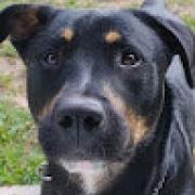 Avatar de LukaChrisfran