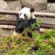 Avatar de AnthonyBzh