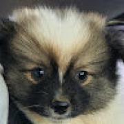 Avatar de ValentinHillairet