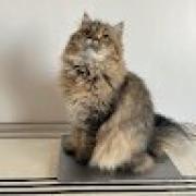 Avatar de DelphineLasserre