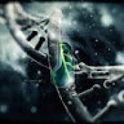 Avatar de NicolasFARIA