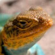 Avatar de WEBERCorinne