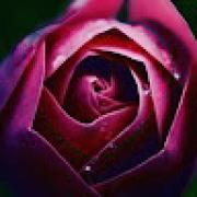 Avatar de wendystudio