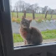 Avatar de FeretLudivine