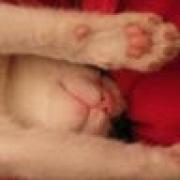 Avatar de AureliaJumeau