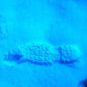 Avatar de FabricePortilla