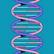 Avatar de DoudouBeleyi