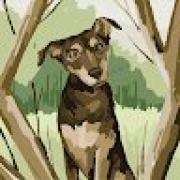 Avatar de Maxouuuuuu555