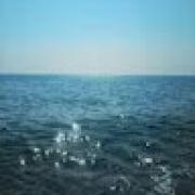 Avatar de SebastienFOUCAT