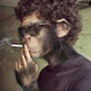 Avatar de ThomasJABET