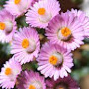 Avatar de JromeCoutant