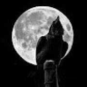 Avatar de Crow1