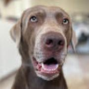 Avatar de MagaliKontact1