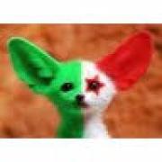 Avatar de fellatarik