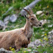 Avatar de BiereNardChope