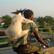 Avatar de FredericMOREL