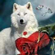 Avatar de PatrickMlisse