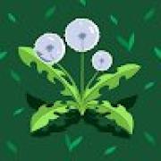 Avatar de MainaMazouz